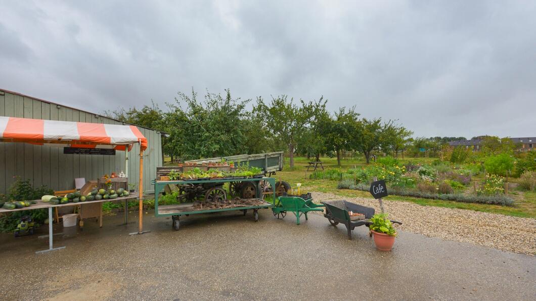 moestuin-markt