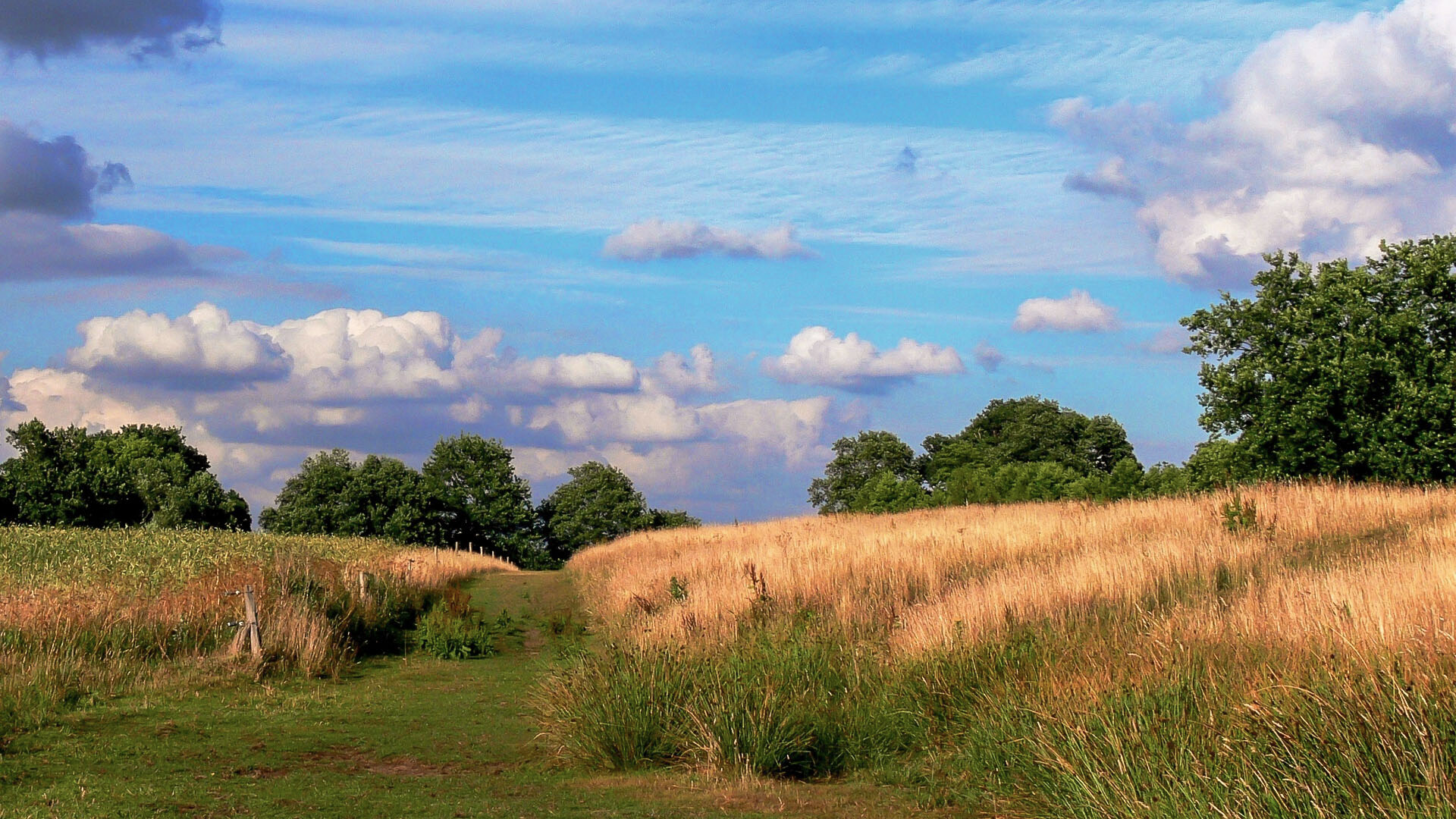 wolkenlucht en natuur in Westerwolde