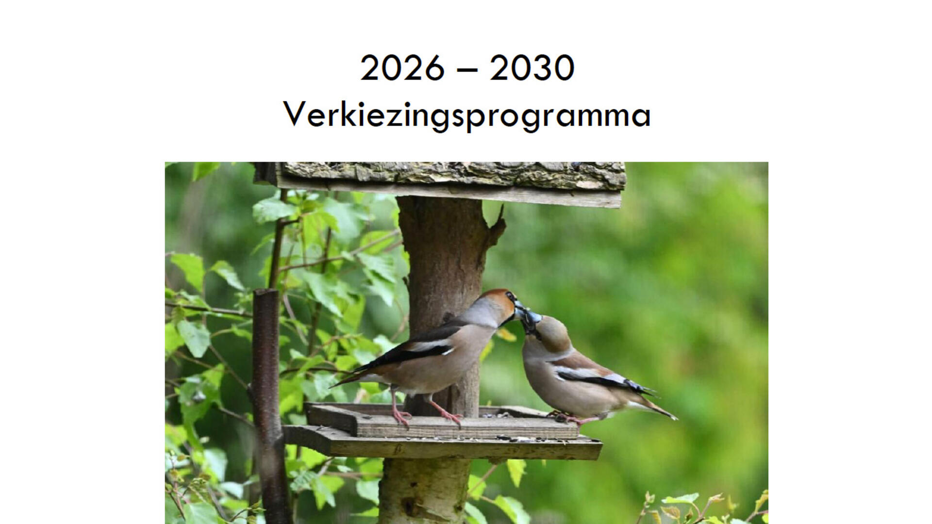 voorpagina verkiezingsprogramma